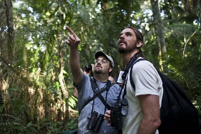 Birding in Northern Peru - Mobile Banner.jpg