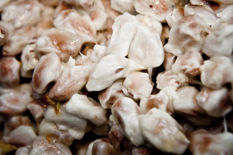 Cacao in Northern Peru - Tarapoto - Cocoa Beans in White Pulp.jpg