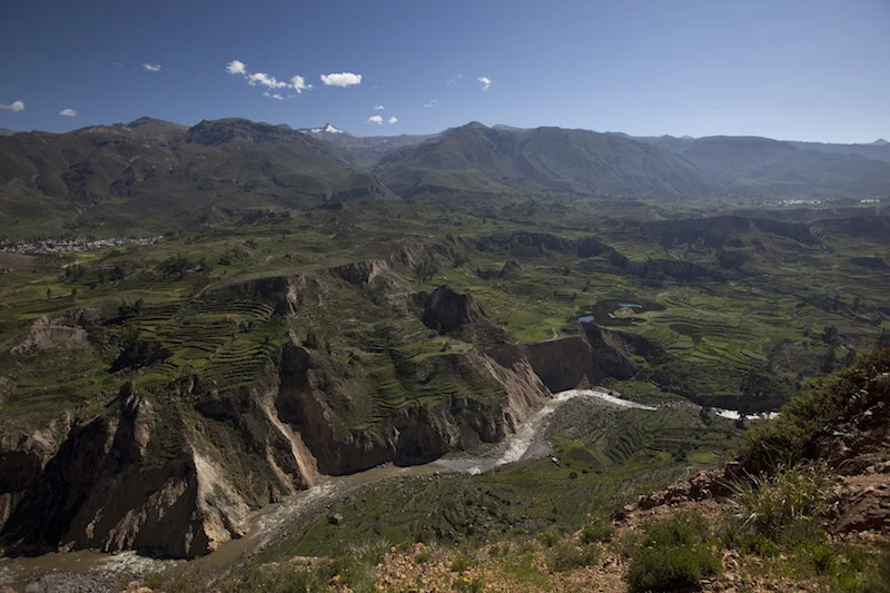 Colca River flowing through the canyon.