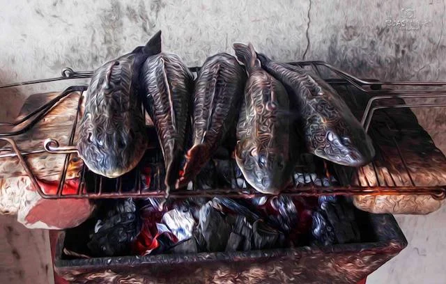 Amazonian fish being barbecued.