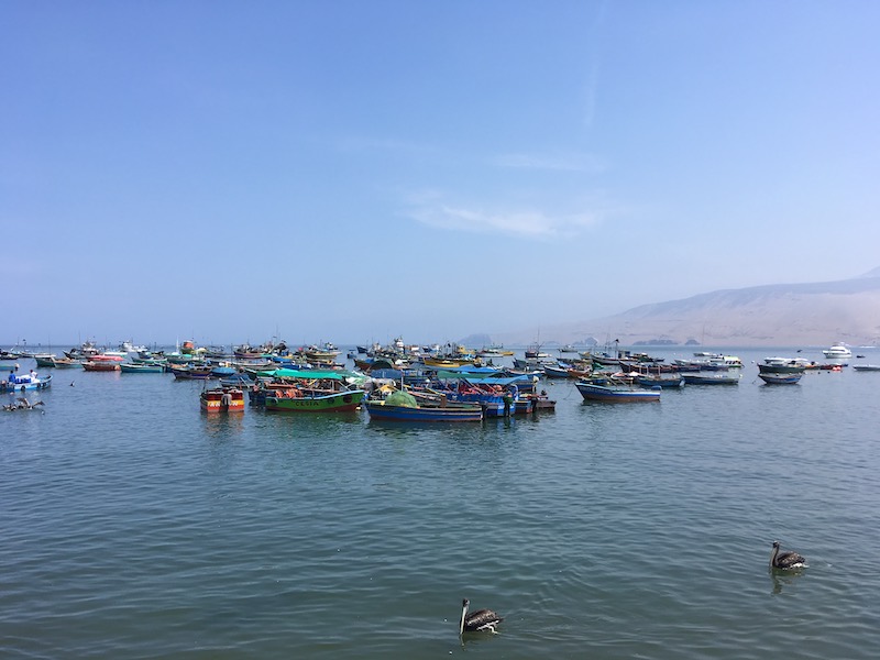 Eckett x 3 - Northern Peru trip - Lima Fishing Boats.jpeg