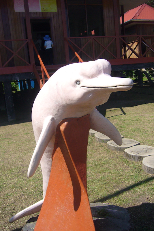 Walter x 2 Testimonial - Pacaya-Samiria Amazon Lodge - Dolphin Statue.JPG