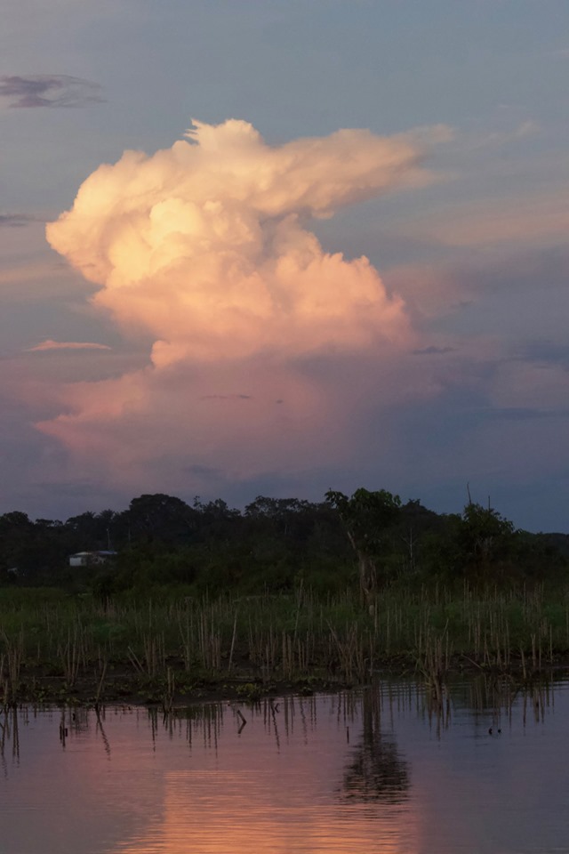 Walter x 2 Testimonial - Pacaya-Samiria Lodge - Cloudscape.jpg