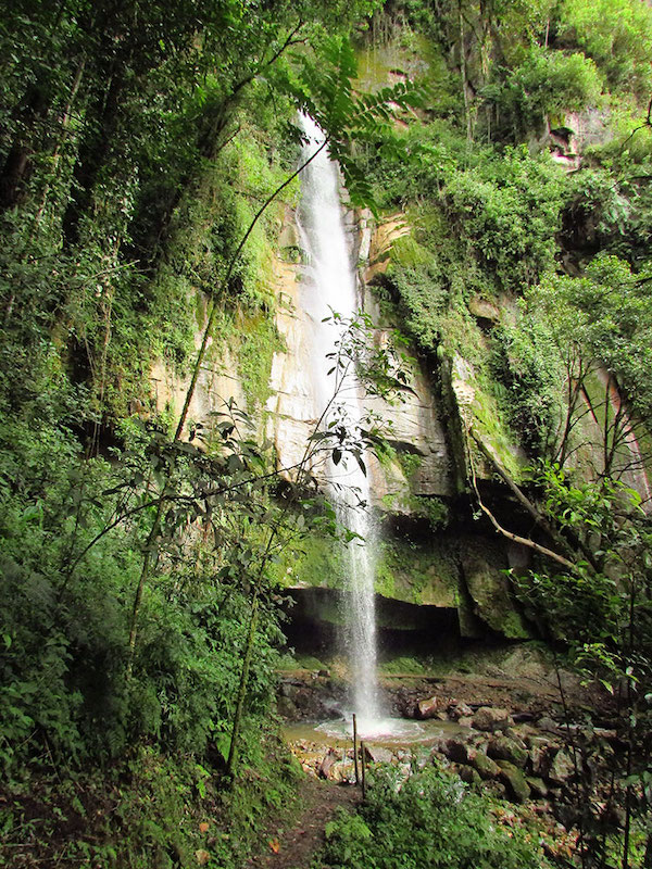 Kuelap Adventure 4D - Forest of Waterfalls.jpg
