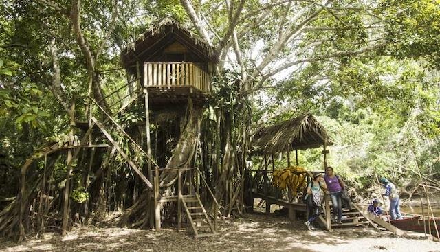 Tingana Reserve 3D - Amazon Rainforest by Canoe - Accommodation on Stilts.jpeg