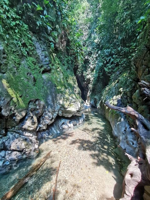 Rio Abiseo National Park