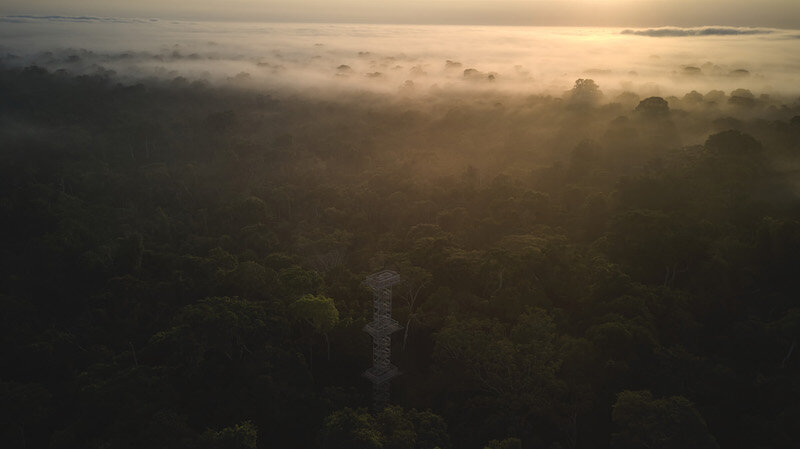 Posada Amazonas