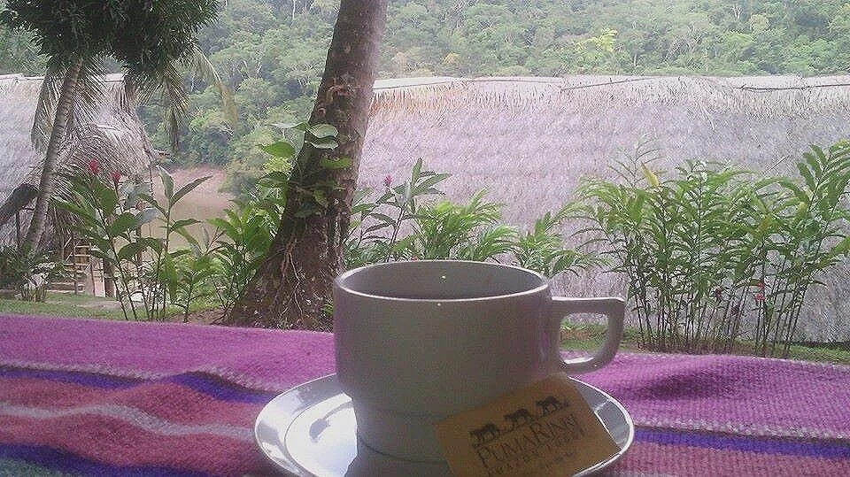 Tarapoto+-+Coffee+%26+Chocolate+Tour+-+Coffee+Cup+at+Pumarinri.jpg