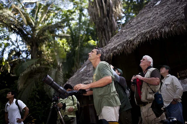 Birding in Northern Peru 21D - Banner.jpg