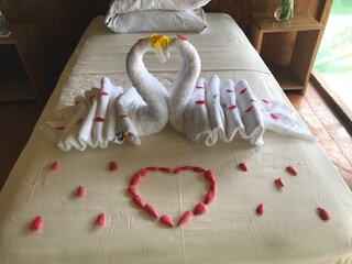 Liepold x 2 - Grand Amazon Lodge - Anniversary Towel Art.jpg