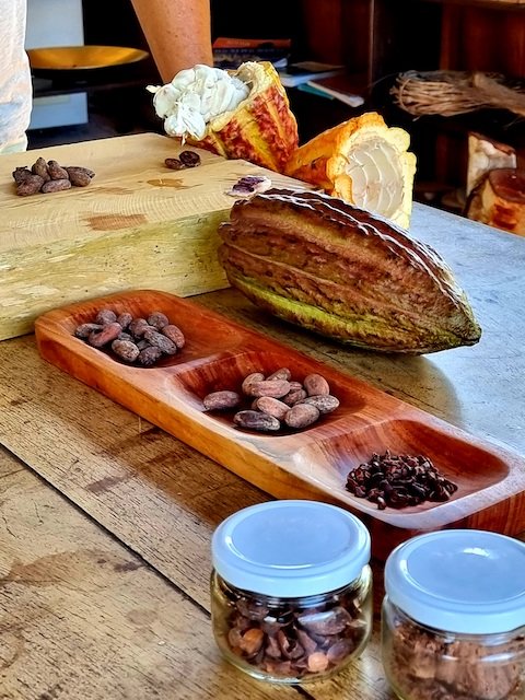 Binge x 2 - Gocta & Tarapoto Testimonial - Chasuta - Cacao & Beans .jpg
