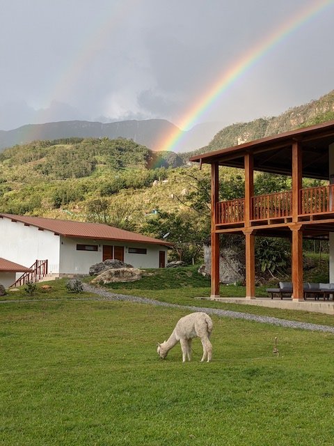 Binge x 2 - Gocta & Tarapoto Testimonial - Gocta Andes Lodge - Alpaca & Rainbow.jpg