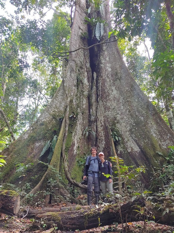 Thomas x 2 - Treehouse Amazon Lodge Testimonial - Ceiba Tree on Jungle Walk.jpg