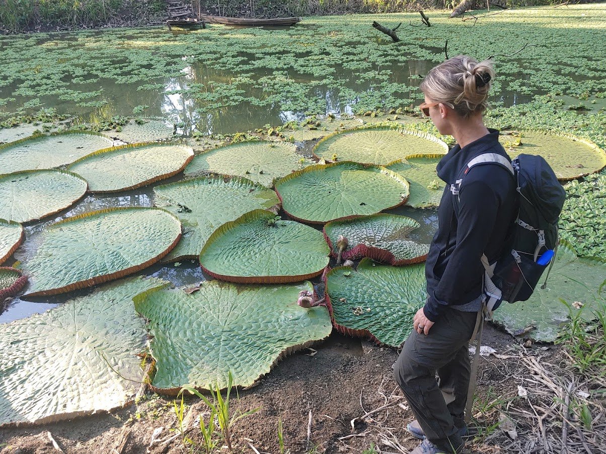 Thomas x 2 - Treehouse Amazon Lodge Testimonial - Giant Victoria Regia Water Lilies.jpg