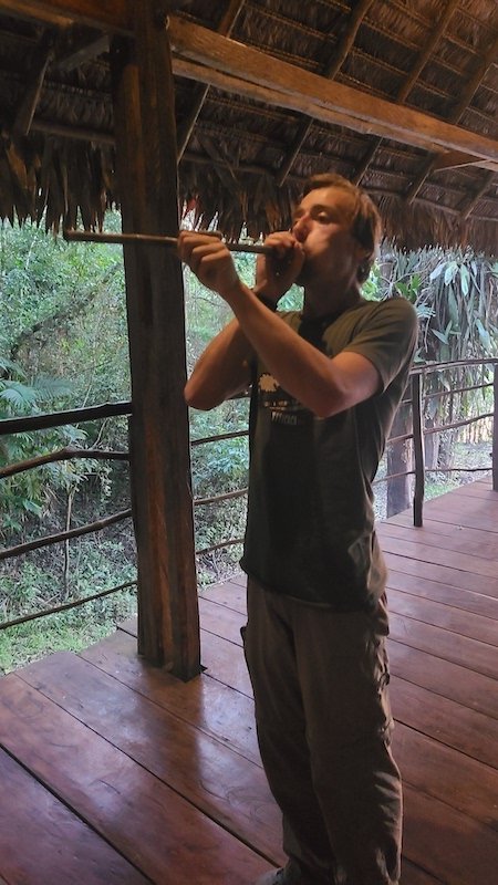 Wallen x 2 - Treehouse Amazon Lodge - Iquitos, Loreto - Blowpipe Class.jpg