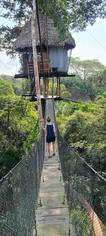 Wallen x 2 - Treehouse Amazon Lodge - Iquitos, Loreto - Canopy Walkway.jpg