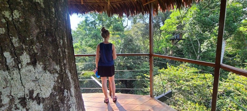 Wallen x 2 - Treehouse Amazon Lodge - Iquitos, Loreto - Looking across canopy.jpg