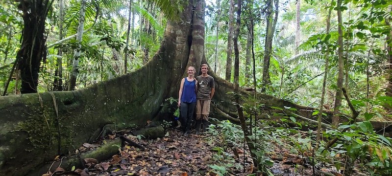 Wallen x 2 - Treehouse Amazon Lodge - Iquitos, Loreto - Ceiba Tree.jpg