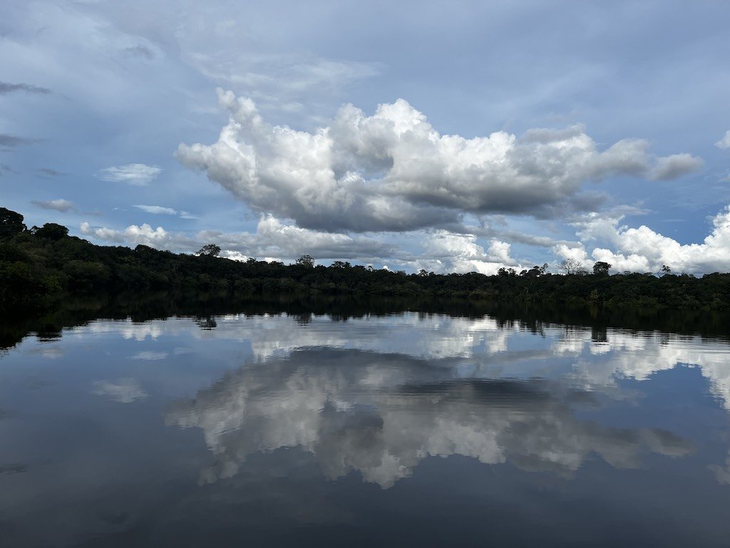 Wendelstadt x 5 - Juma Lodge & Bonito - Amazon Jungle of Mirrors.JPG