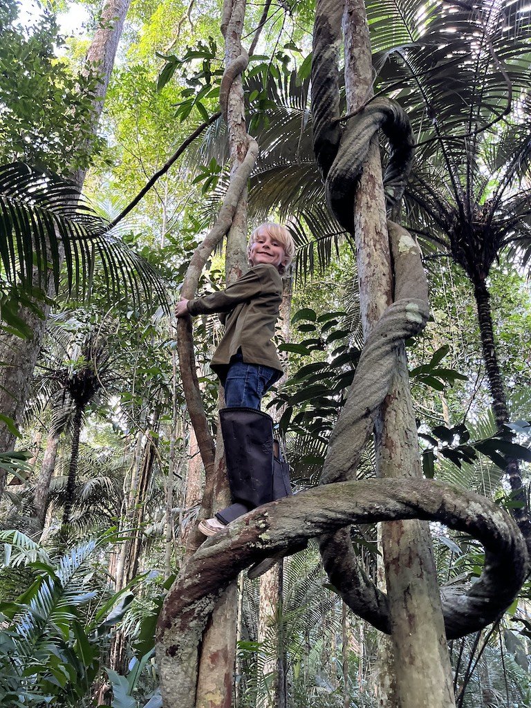 Wendelstadt x 5 - Juma Lodge & Bonito - Climbing Amazon Vine.JPG