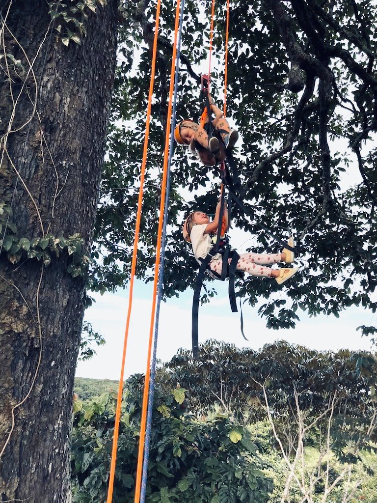 Wendelstadt x 5 - Juma Lodge & Bonito - Kids Amazon Tree Climbing.JPG