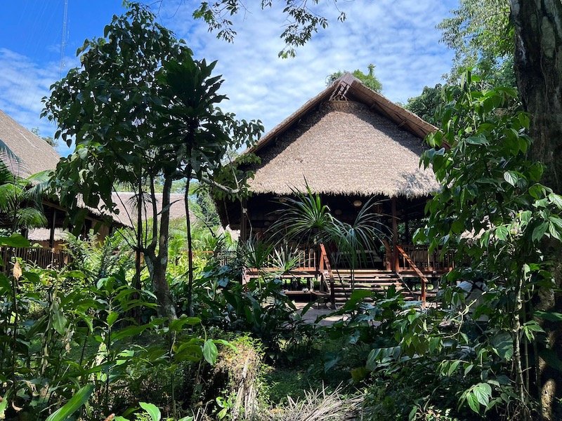 Nickolovska x 4 - Tambopata Research Center, Madre de Dios - Lodge Cabin.jpeg