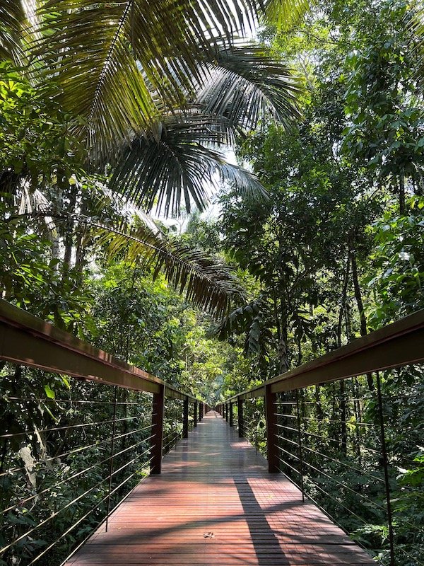 Nickolovska x 4 - Tambopata Research Center, Madre de Dios - Lodge Walkway.jpeg