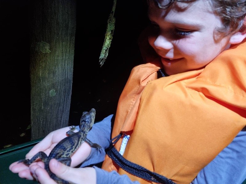 Juma Lodge, Manaus: Nocturnal Caiman Excursion