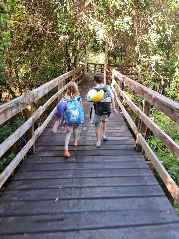 Allison x 4 - Juma Lodge - Manaus, Brazil - Walkway at Lodge.jpeg