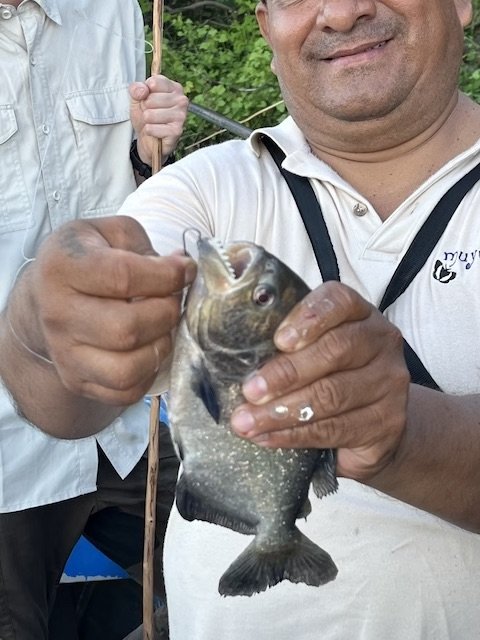 Chow x 2 - Muyuna Lodge - Piranha with Guide.jpg