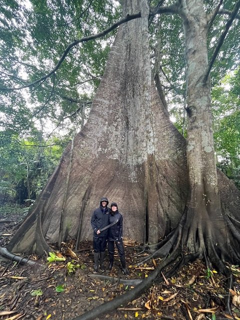 Powell x 2 - Heliconia Lodge - Ceiba Tree.jpeg