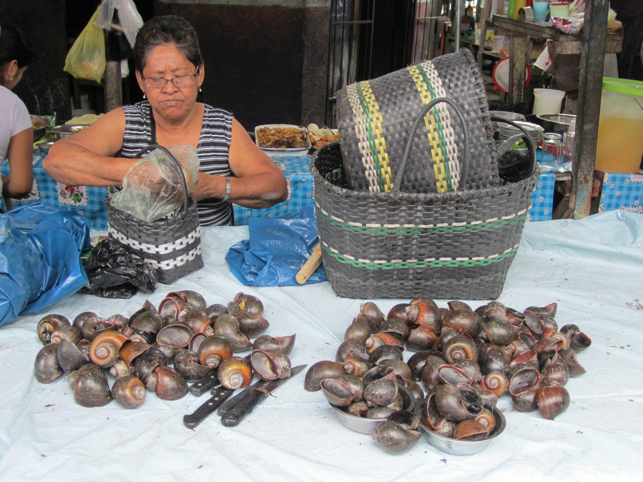 Belen Market, Iquitos - Snails for Sale.JPG