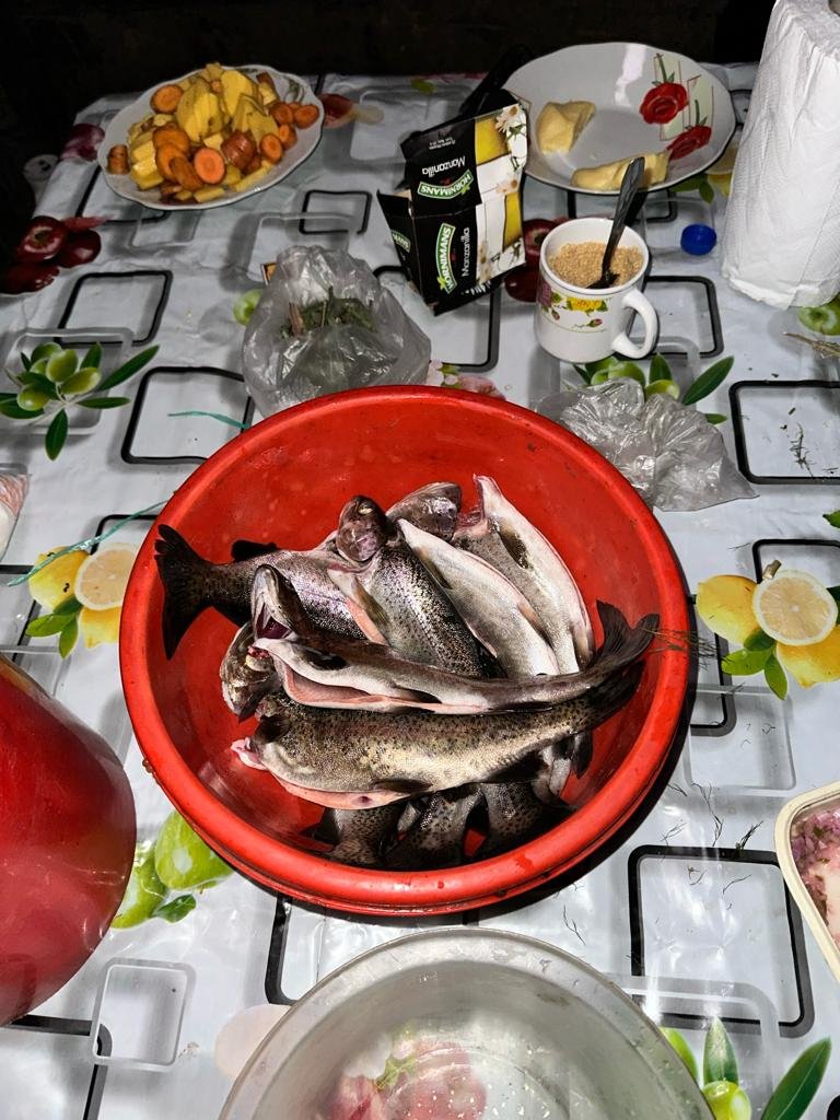 Sainz x 2 - Laguna de los Condores Trek - Fish for Dinner.jpeg