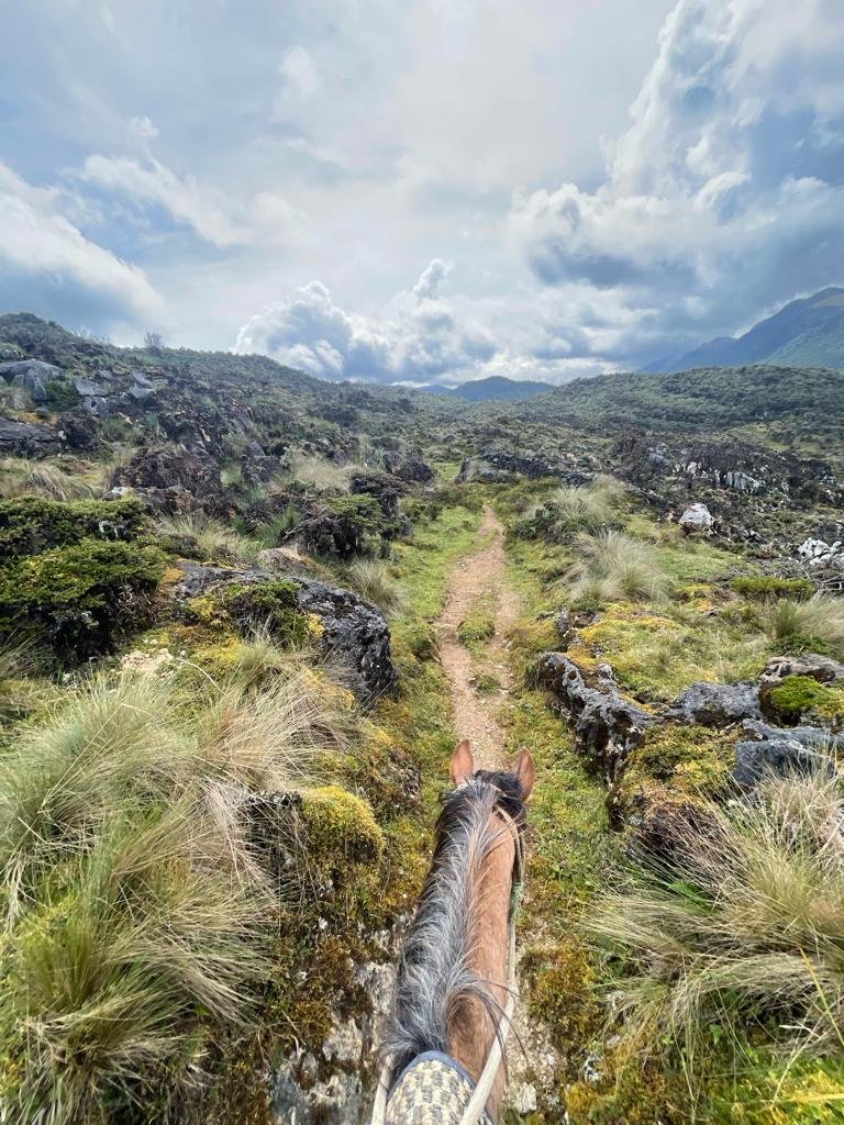 Sainz x 2 - Laguna de los Condores Trek - View from Horseback.jpeg