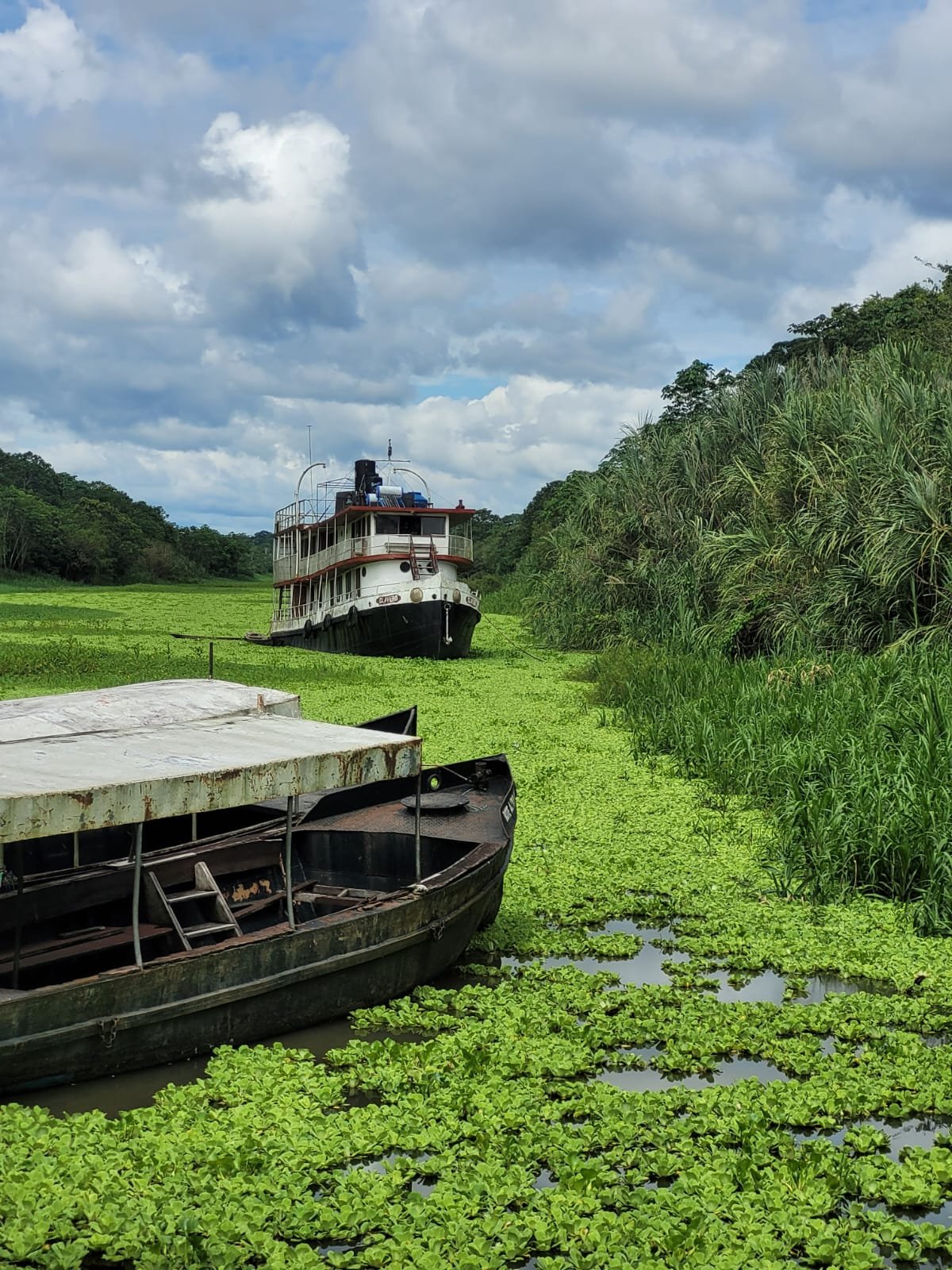 Nixon x 1 - Rio Amazonas Research Station - Rio Yarapa, Loreto - Expedition Boats.jpeg