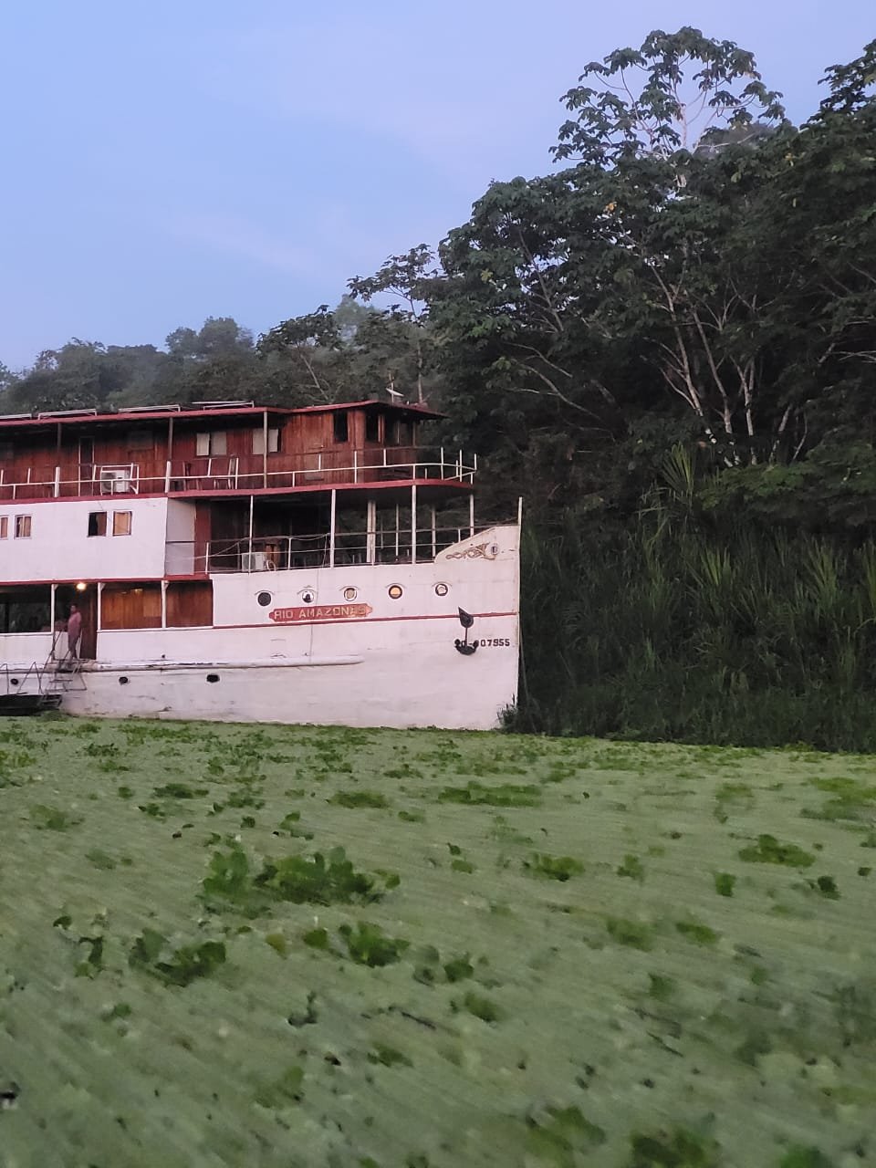 Nixon x 1 - Rio Amazonas Research Station - Rio Yarapa, Loreto - Historic Boat Accommodation.jpeg