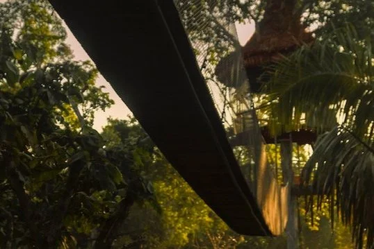 Treehouse+Lodge+-+Amazon+Rainforest+-+Suspension+Bridge+-+Banner.jpg