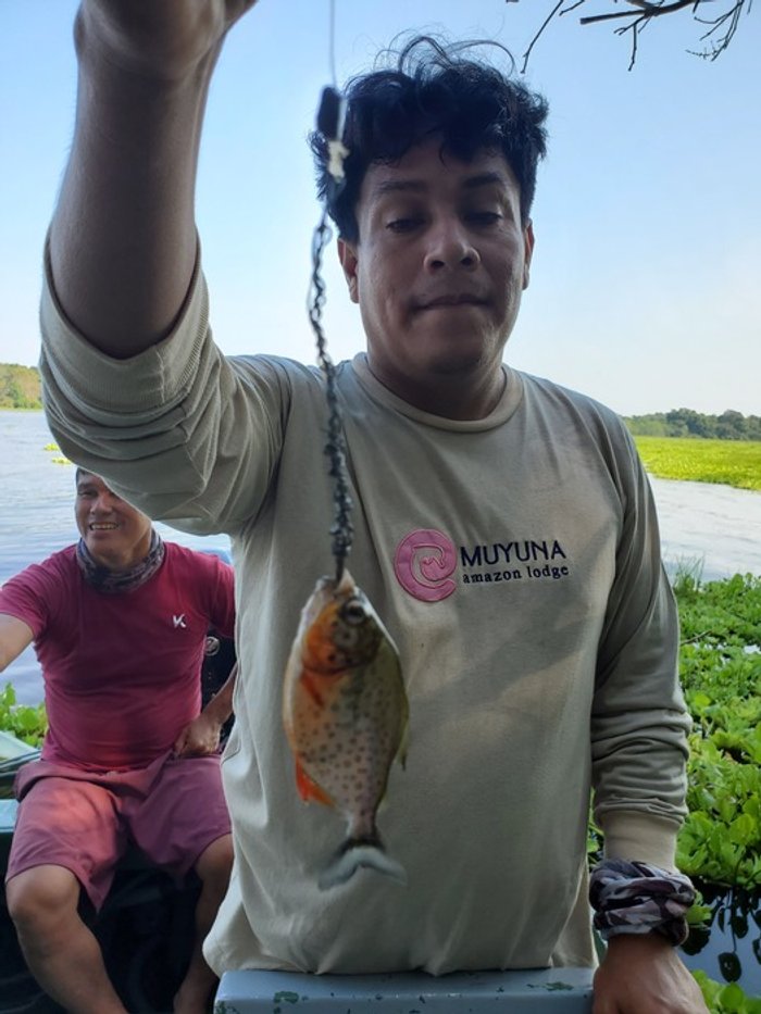 Collins & Alvarez - Muyuna Amazon Lodge, Loreto - Guide with piranha.jpg