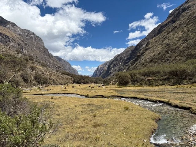 Boulay x 2 - Santa 5D Trek - Llanganuco valley near Cebollapampa.jpeg