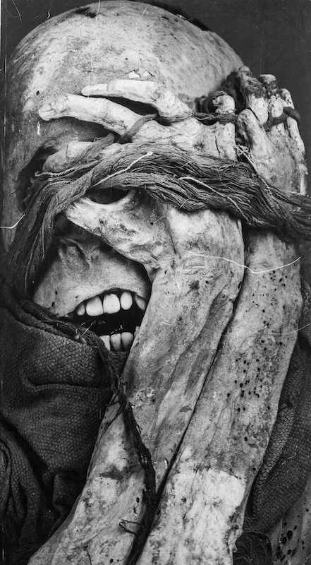 Benham x 2 - Hidden Chachapoyas - Leymebamba Museum Mummy.jpg