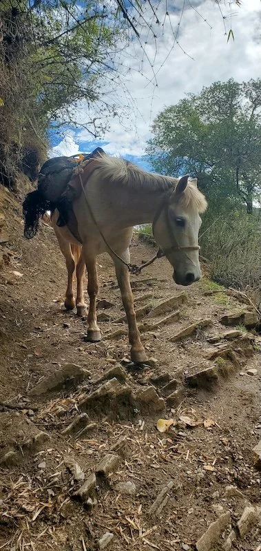 Choquequirao Trek