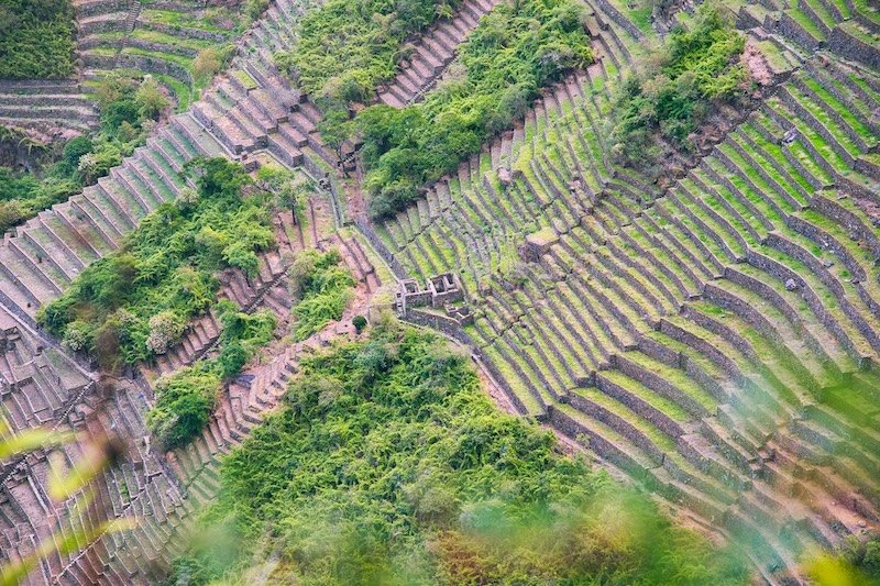 Oleksyshyn x 1 - Choquequirao - Inca Terracing.jpg