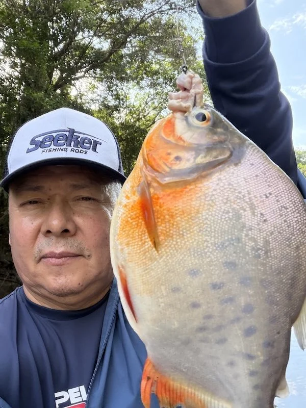 Sanchez x 1 - Tahuayo Lodge Fishing - Iquitos, Loreto - Red-Bellied Piranha.jpeg