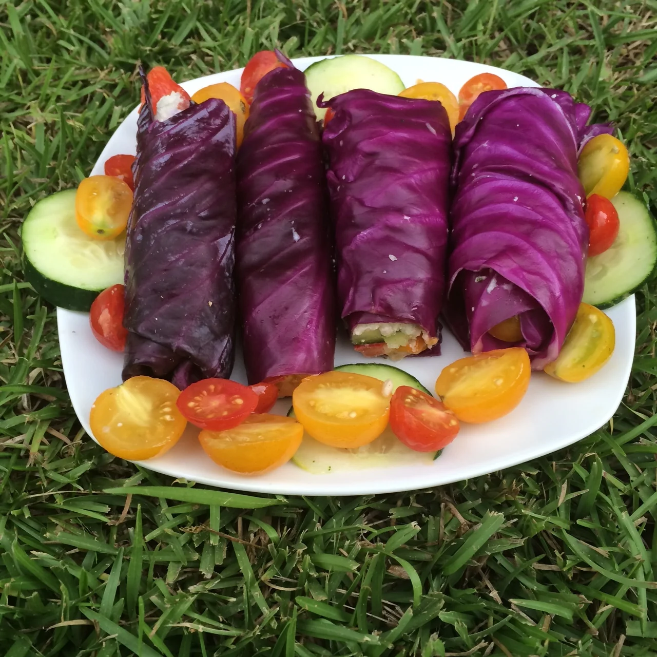 Is a vegan lifestyle extreme?