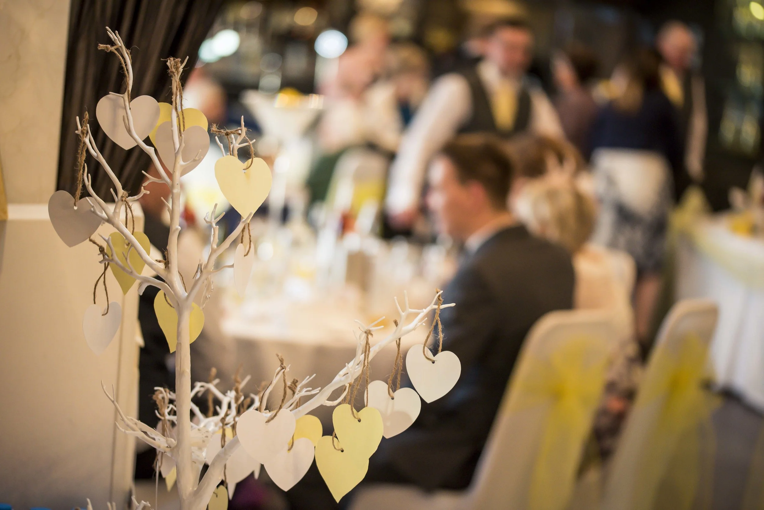 Mr and Mrs Dunn (218 of 300).jpg