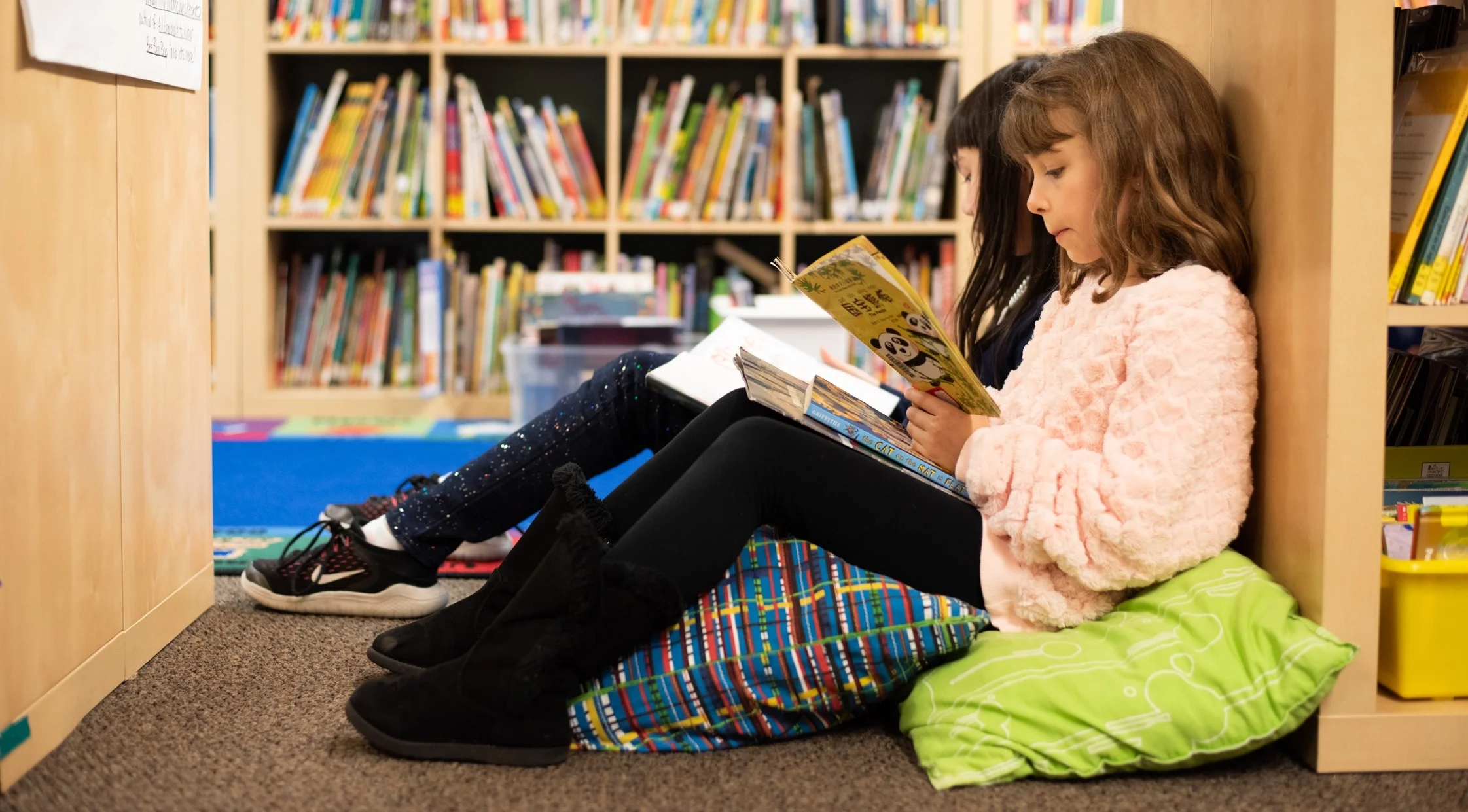 library-12.jpg