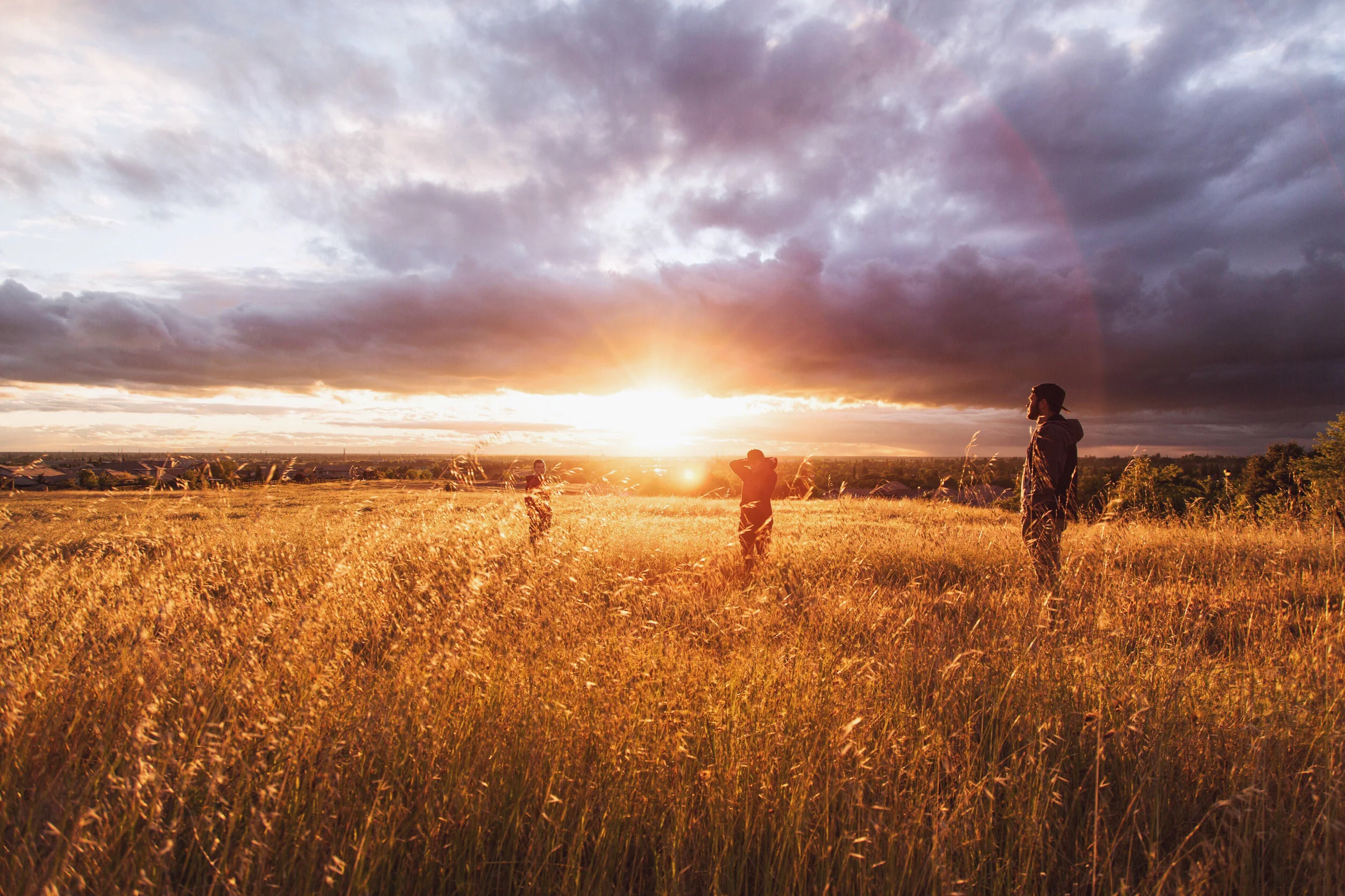 SW_Jordan+McQueen_brightsun_field.jpg