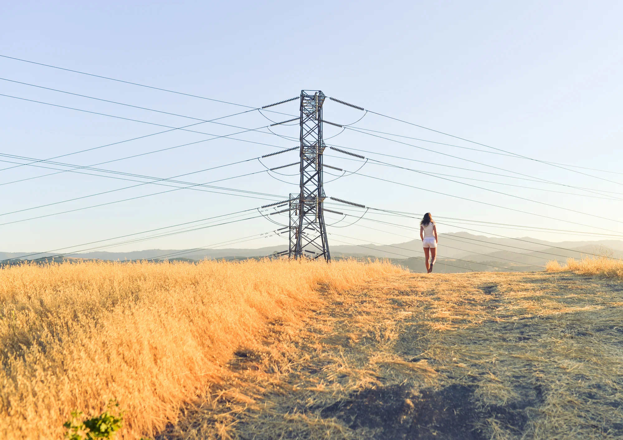 SW_Blake+Bronstad_powerlines_Field.jpg