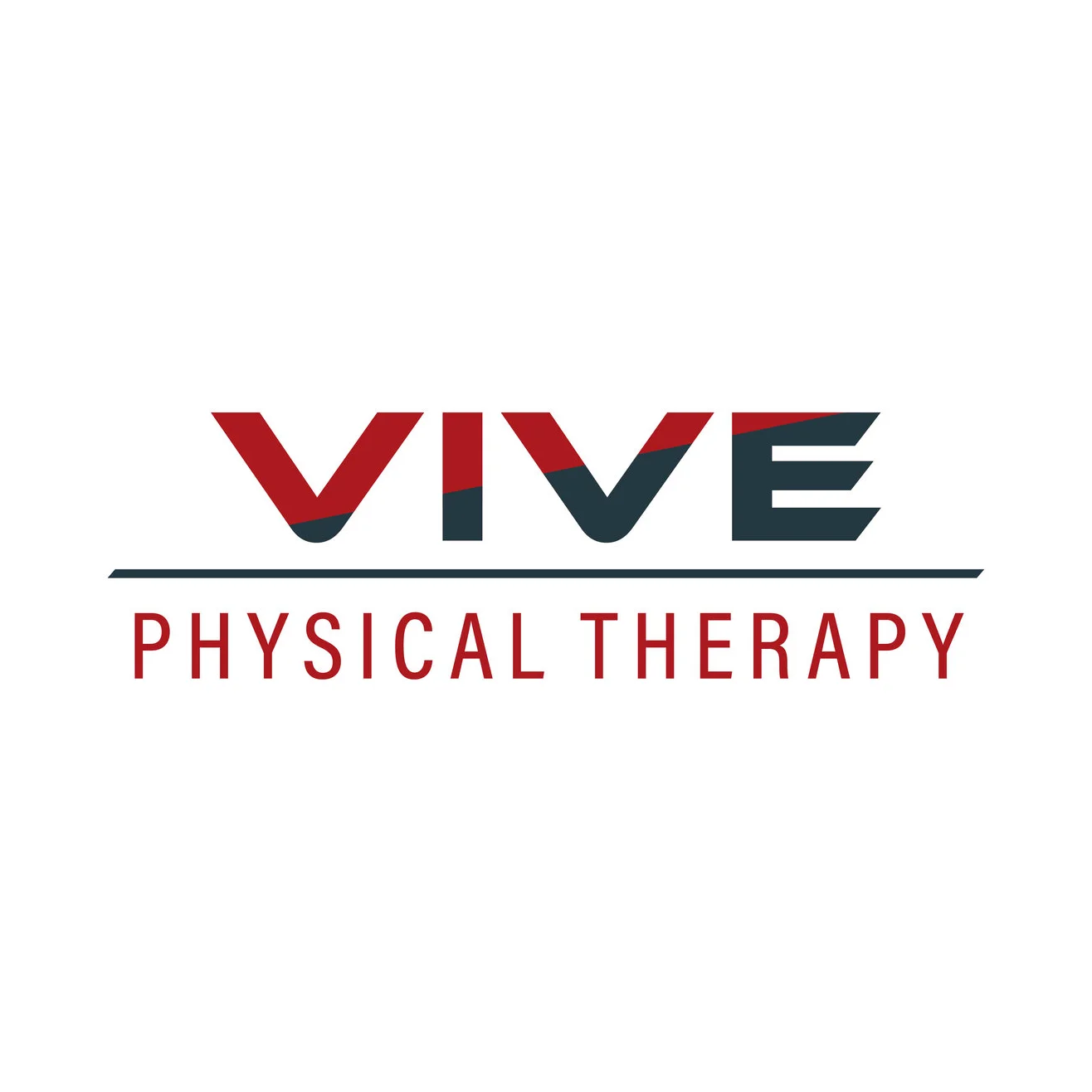Vive-1.jpg