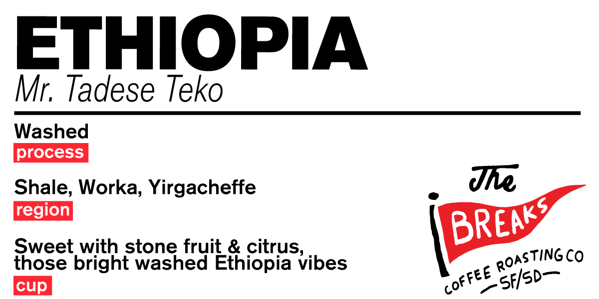 4x2 ETHIOPIA Mr. Tadese Teko  (NO WT).png
